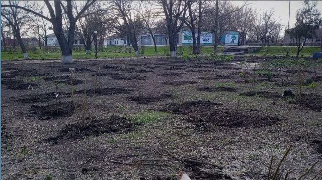 Фотографии.