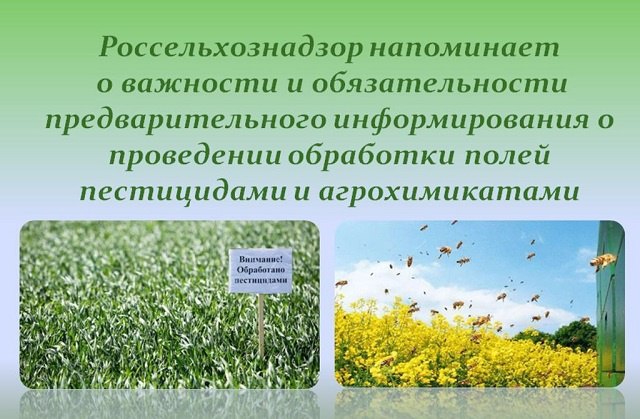 Уважаемые сельхозпроизводители Великолепетихского муниципального округа!.