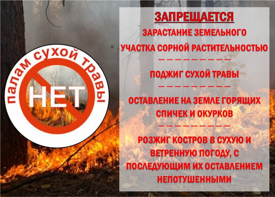 Уважаемые жители Великолепетихского муниципального округа!.