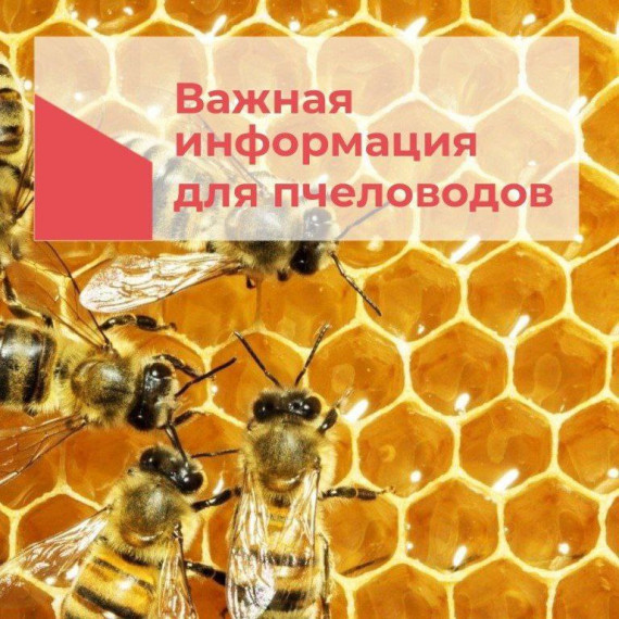 Уважаемые пчеловоды!. Уважаемые пчеловоды!.