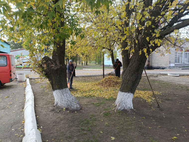 Осень - время наводить порядок.. Осень - время наводить порядок..